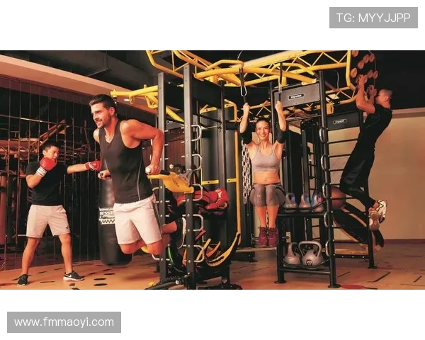 英派斯健身器材性能评测及用户口碑综合分析 英派斯健身器材性能评测及用户口碑综合分析