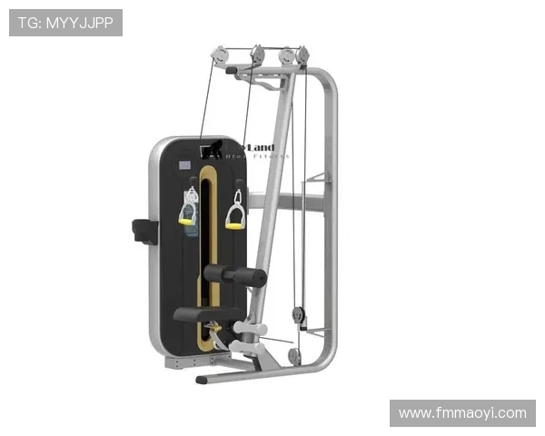 高位下拉器材品牌推荐，助你打造完美背部肌肉